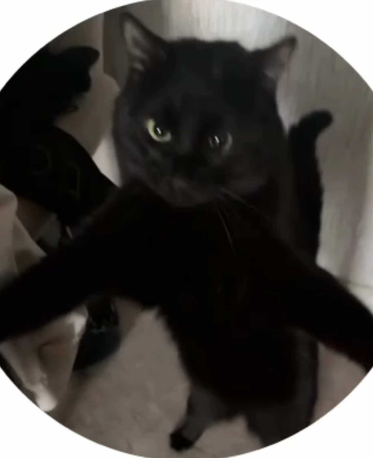 @Хохотушка