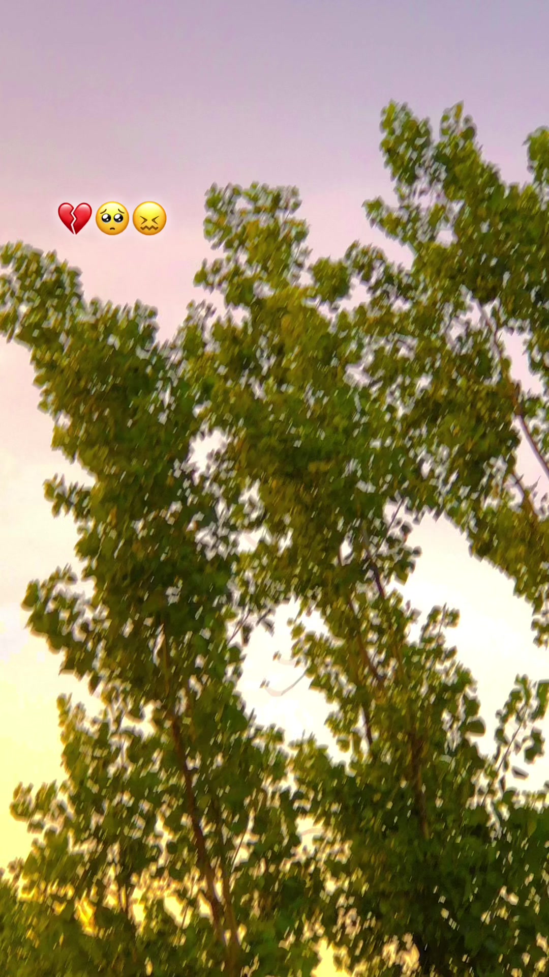 @♞ ✘👤𝙐𝙍 7⚜️𝙢𝘈𝙜𝙝𝙧𝙤‽🚩