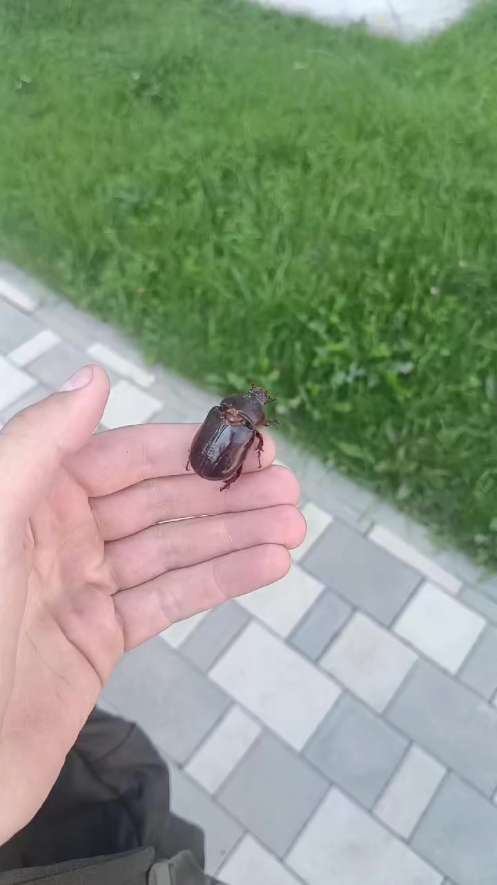 @Артём Умбакной