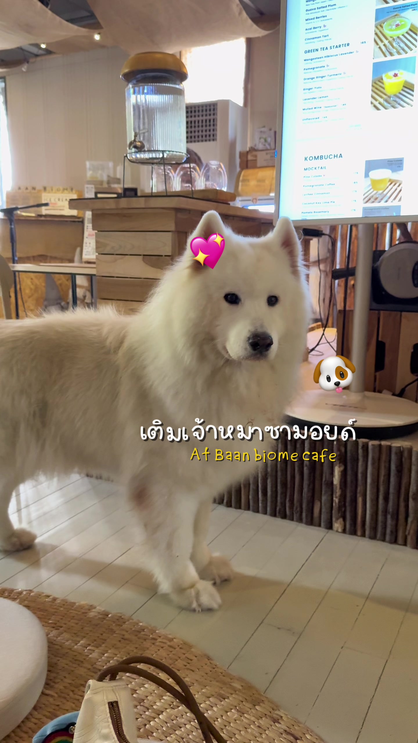 @แจนนี่ชอบหนีเที่ยว💖😘