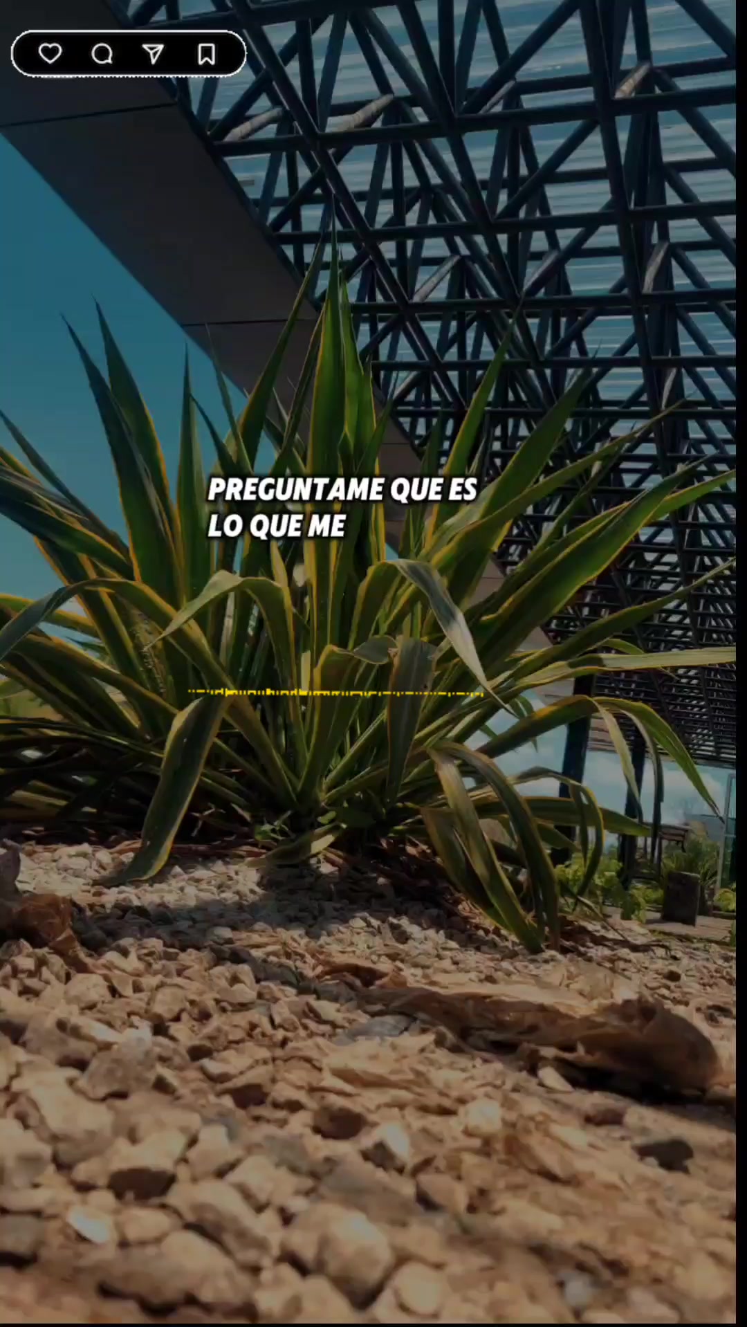 @Música Romántica 🎶