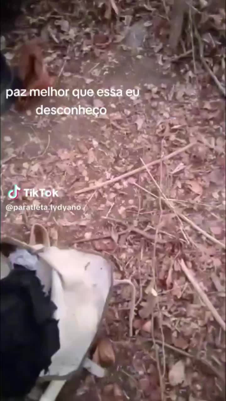 @Lydyano paratleta