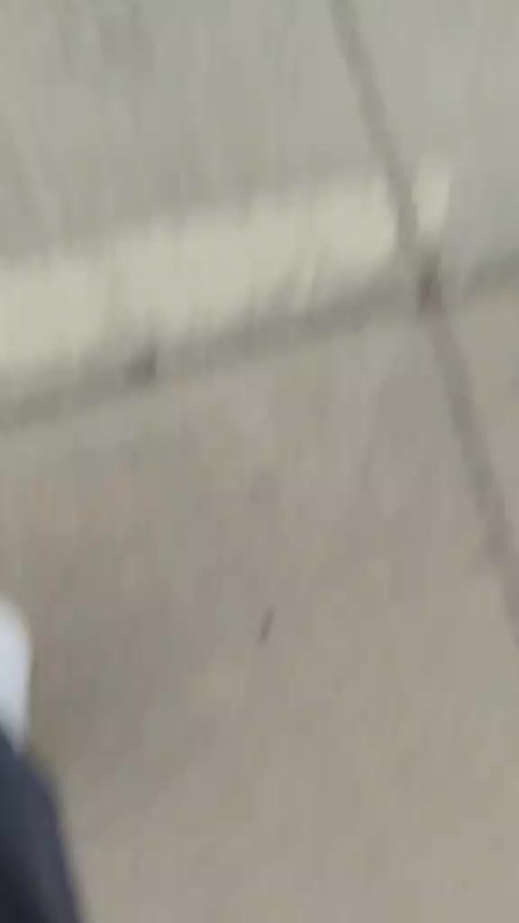 @J&aelig;sonie