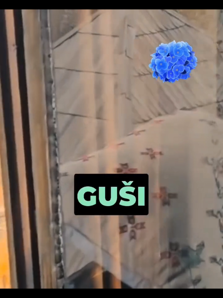 @Hadžibeg