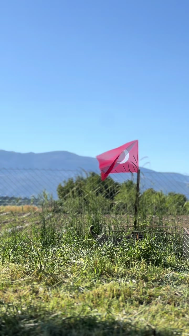 @Çetin BATUR