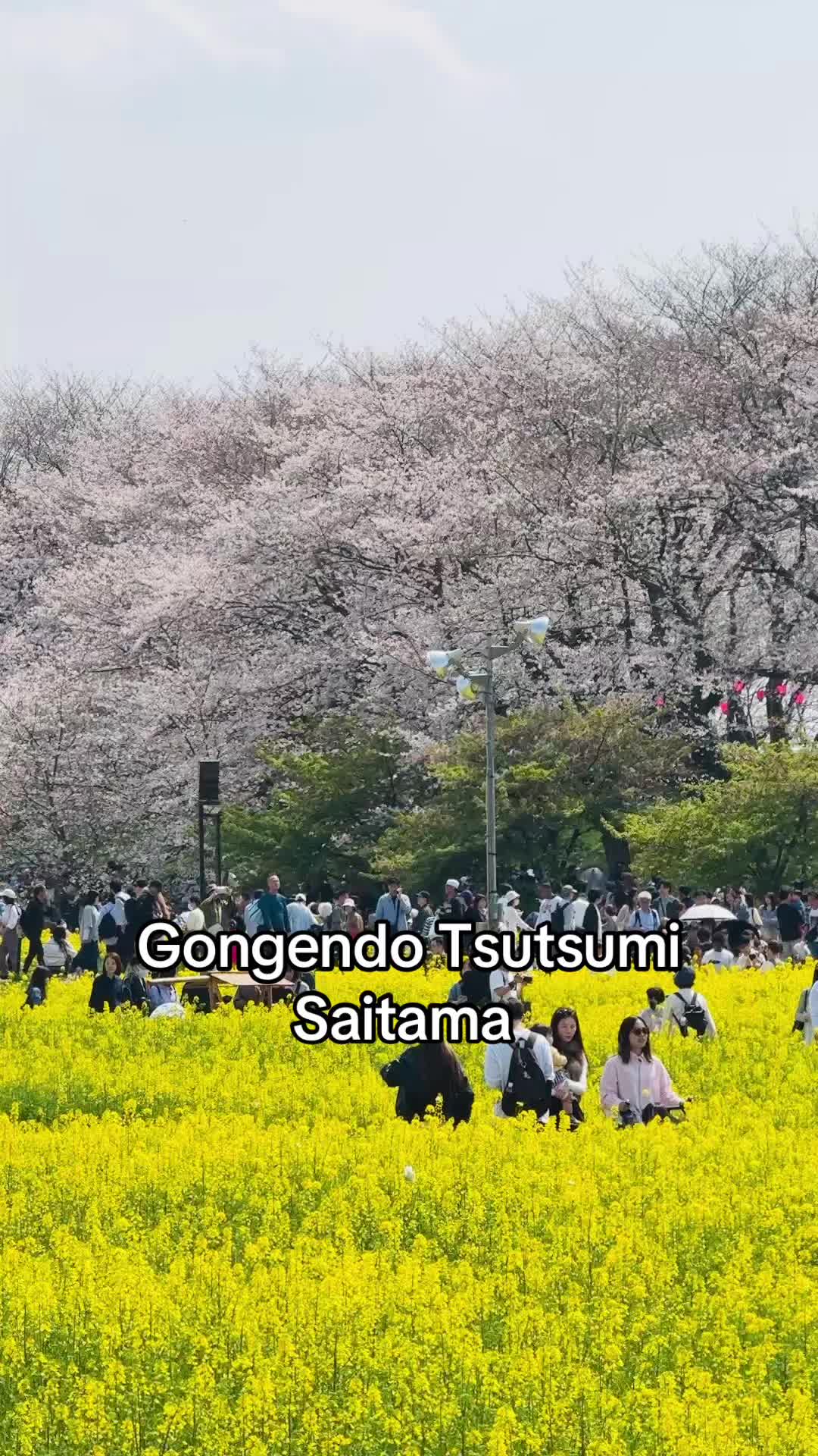 @マー🇯🇵 @日本旅行
