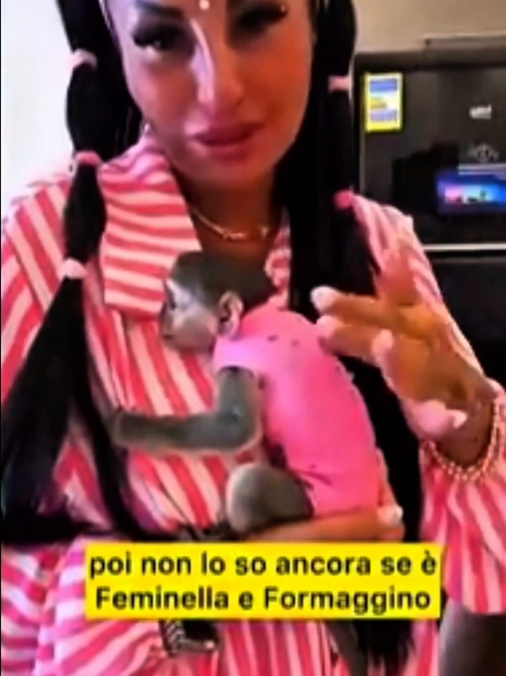 @RealVolpe 🦊