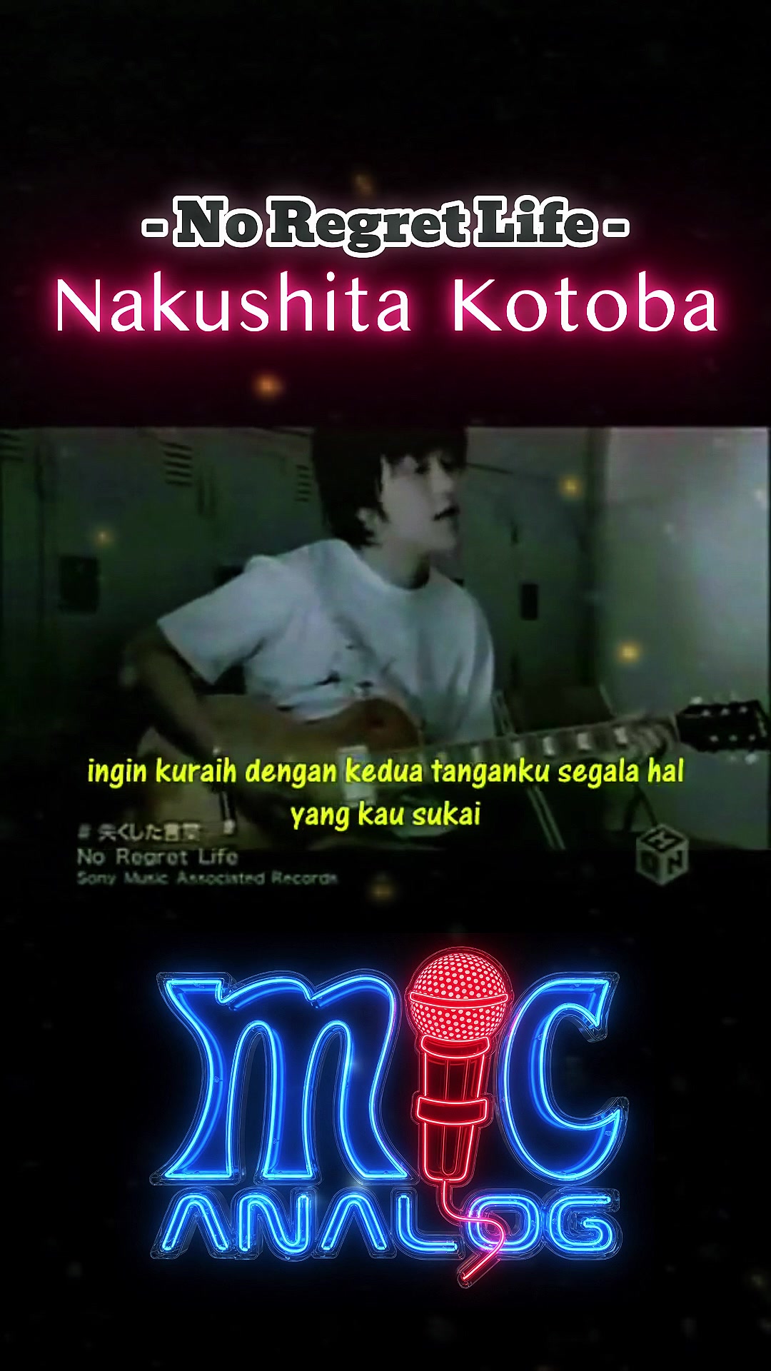 @mic analog