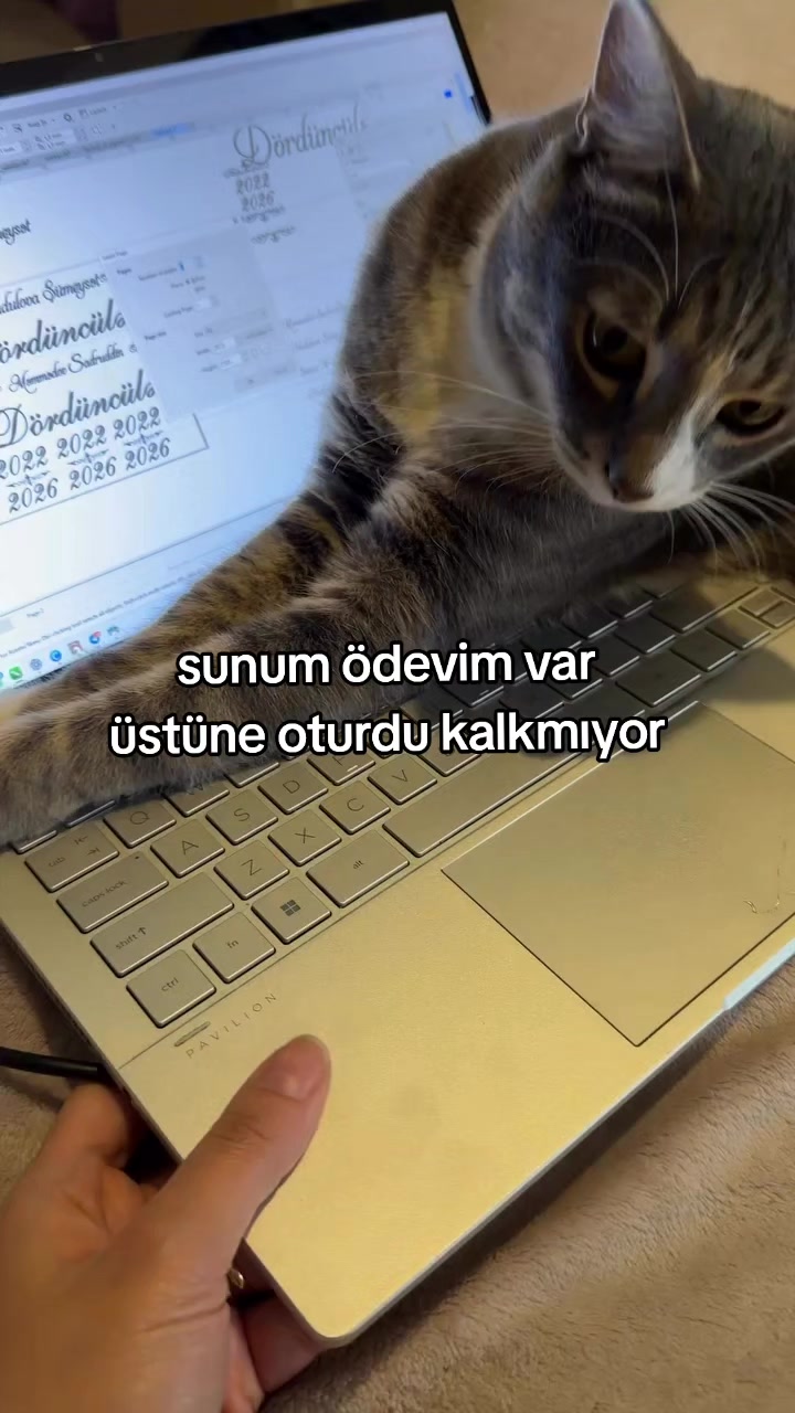 @rolland
