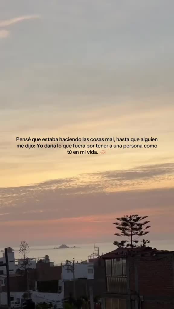 @Ale castro