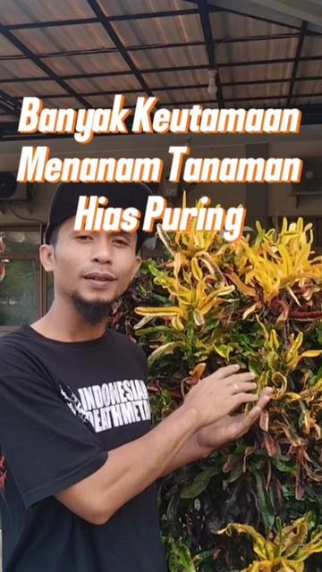 @Bukit Farming