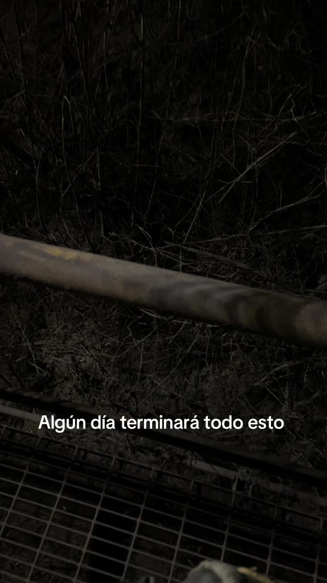 @Manne