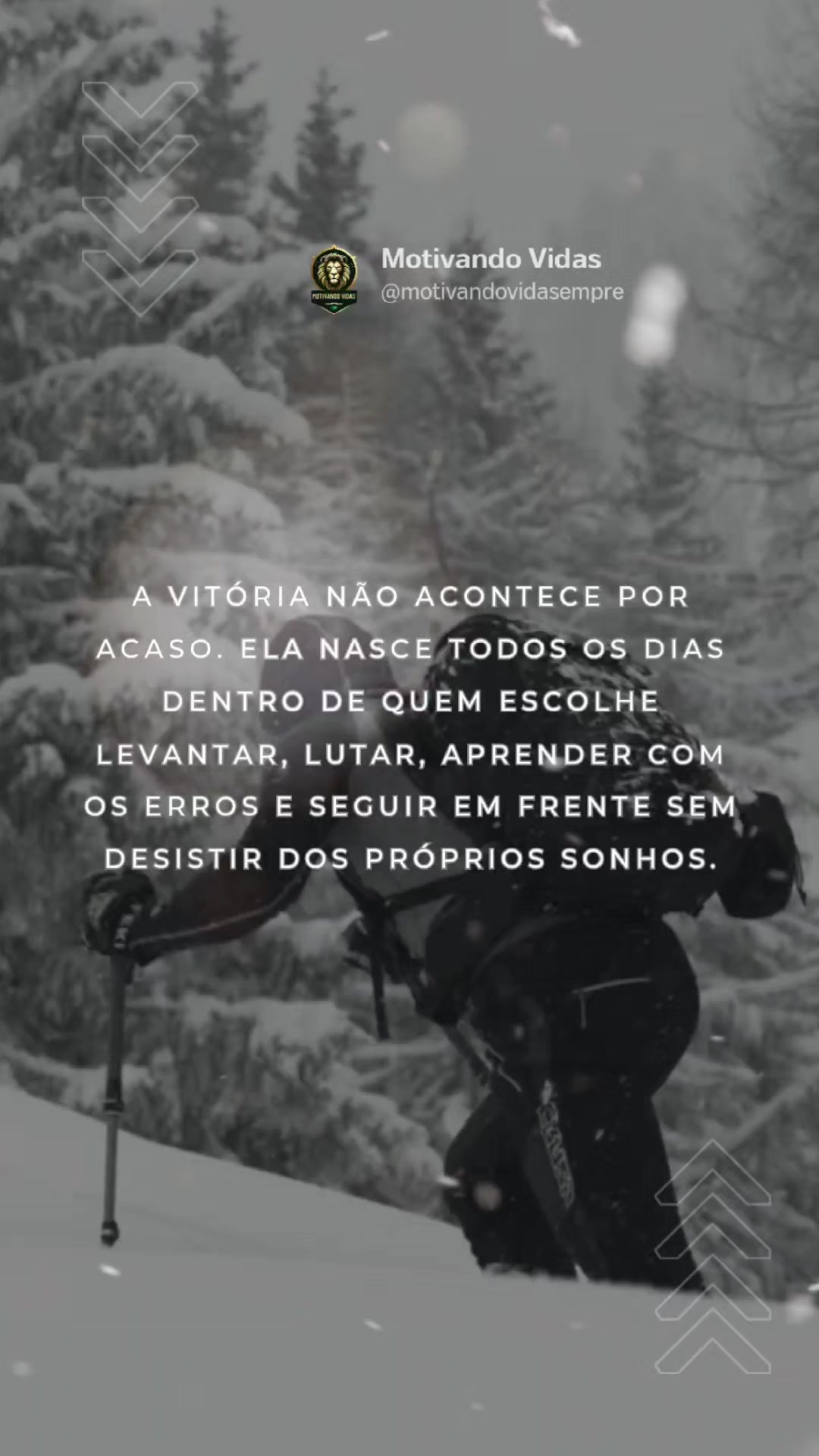 @Motivando Vidas