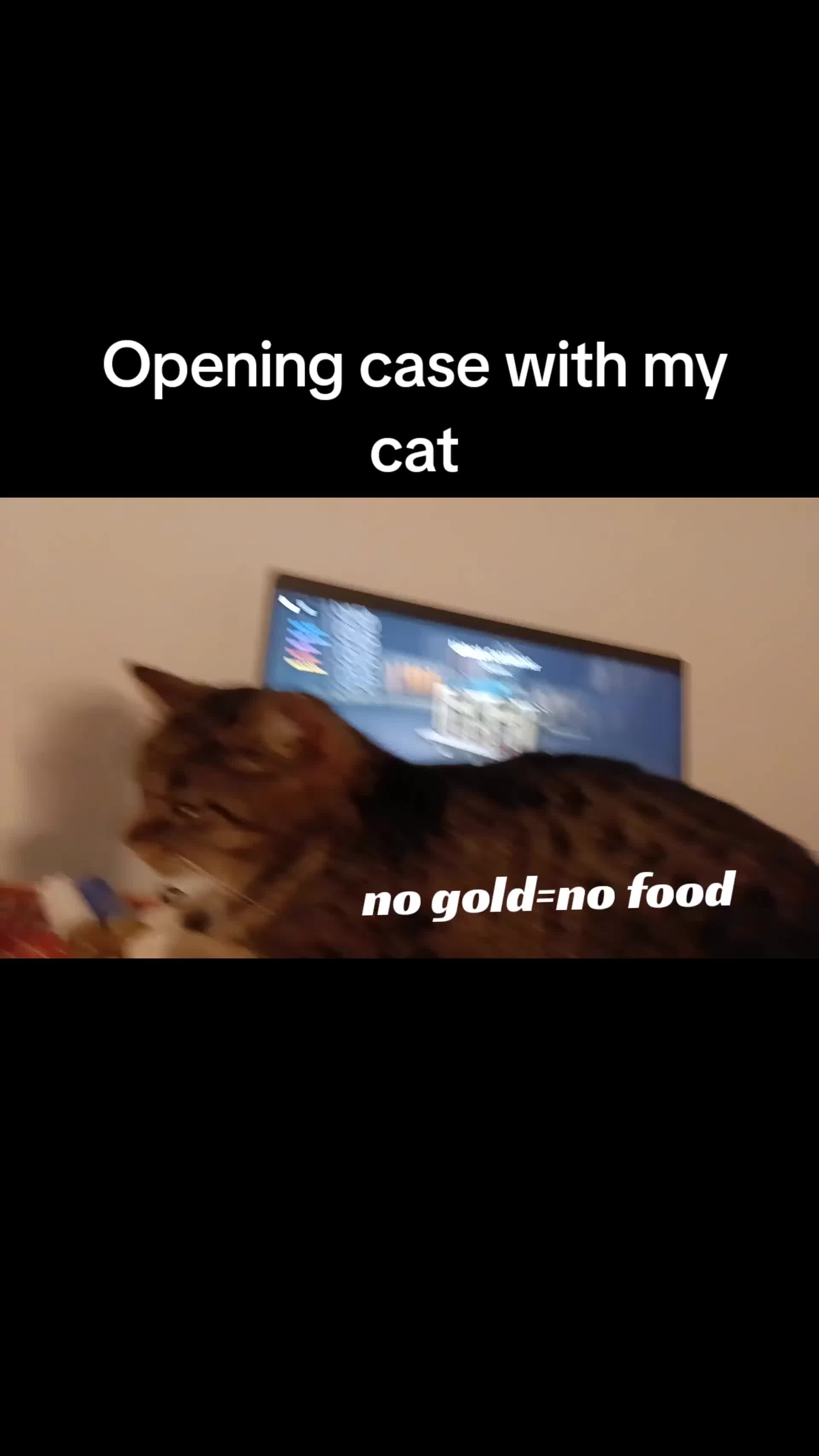 @wiertarkakontowabosch