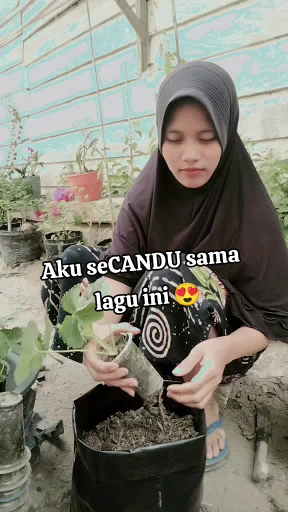 @Ika Sulandari