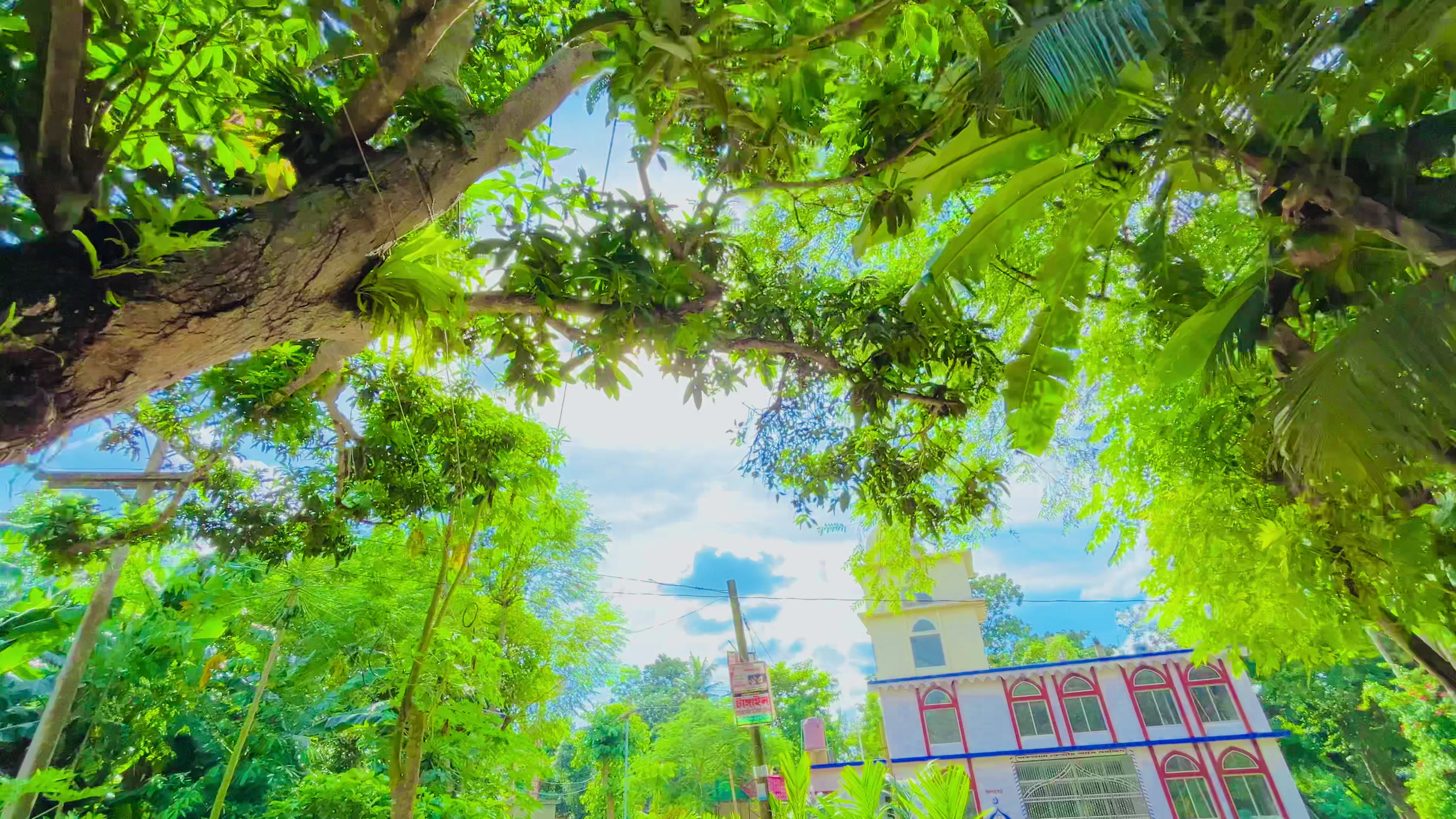 @প্রাকৃতিক 🌿