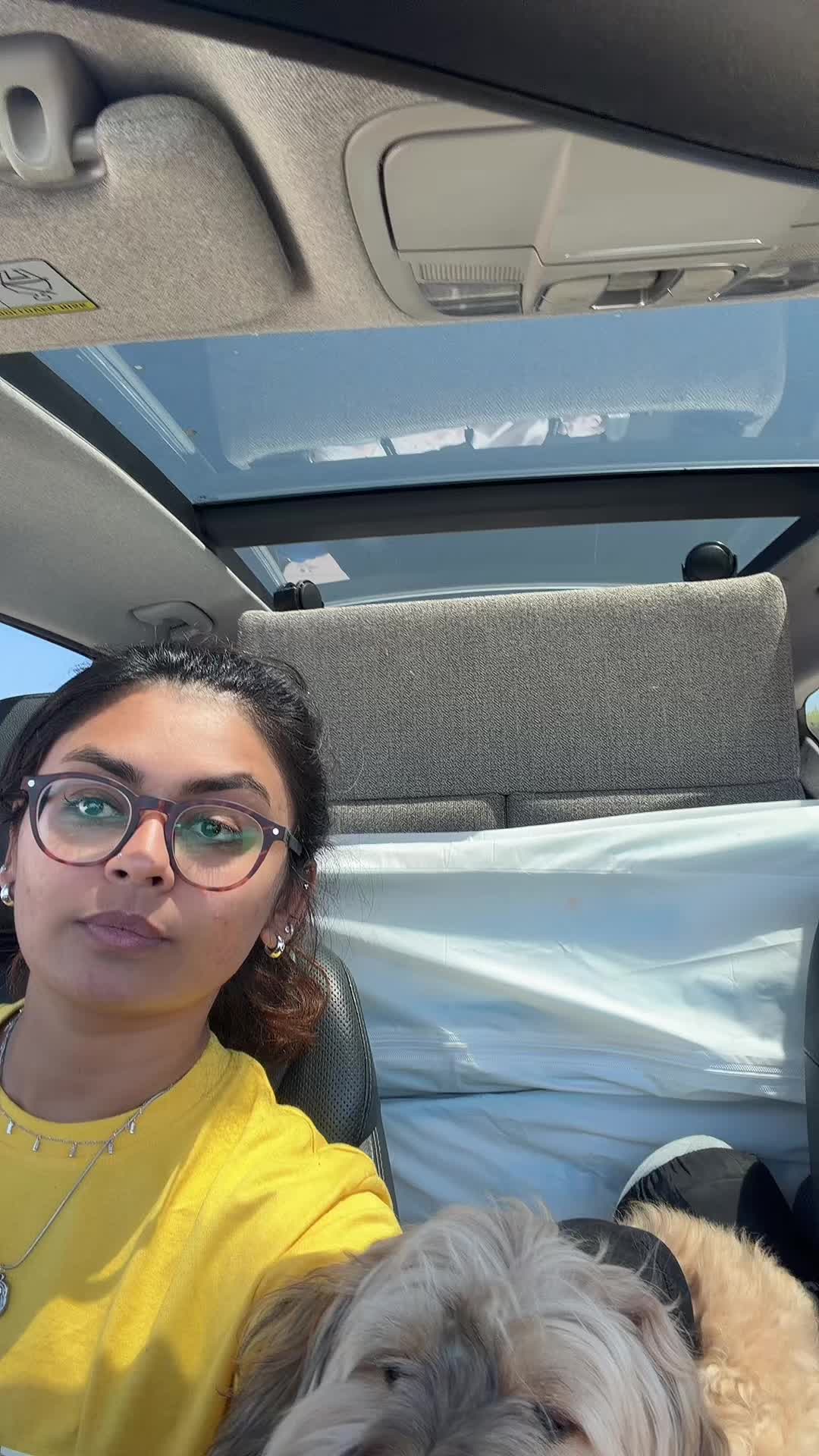 @Lifestylewithnehi