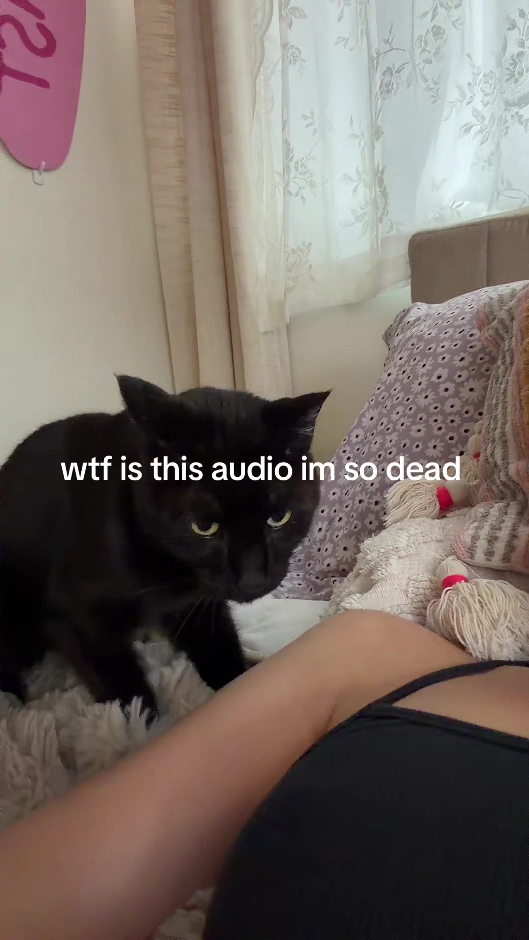 @Violet Kirby