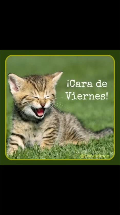 @Juega Junior