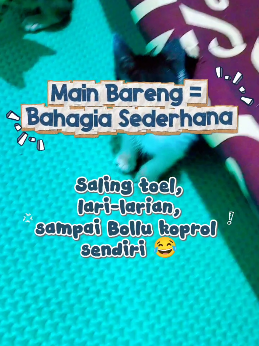 @Bollu
