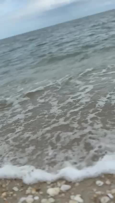 @shangkaran