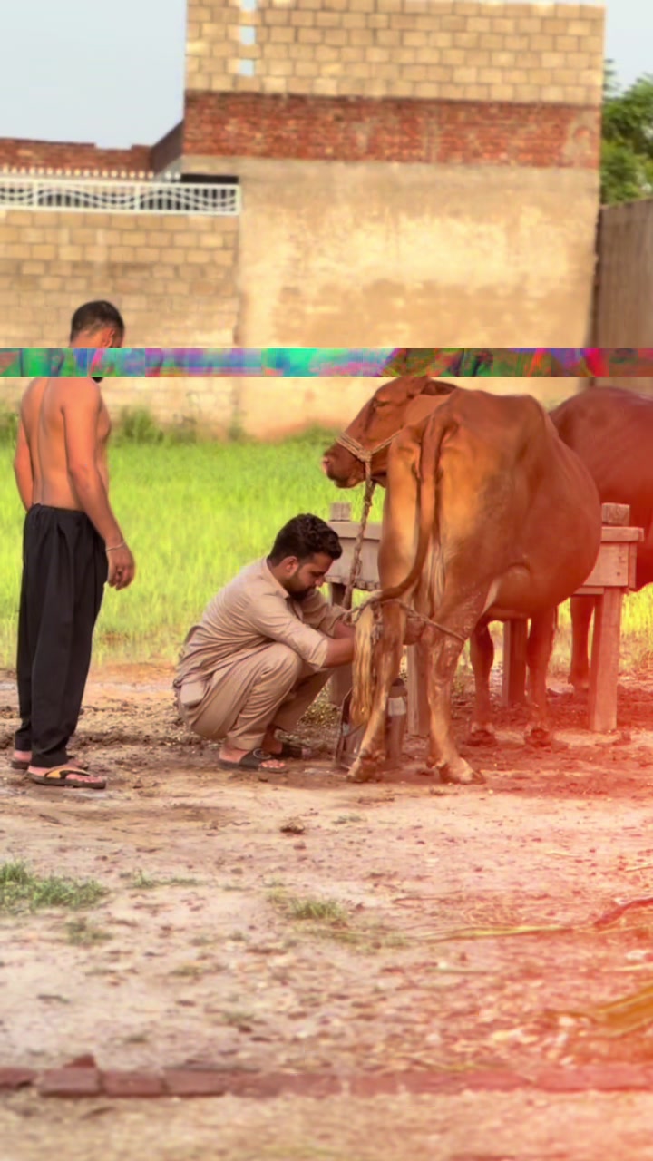@GujRati MunDa