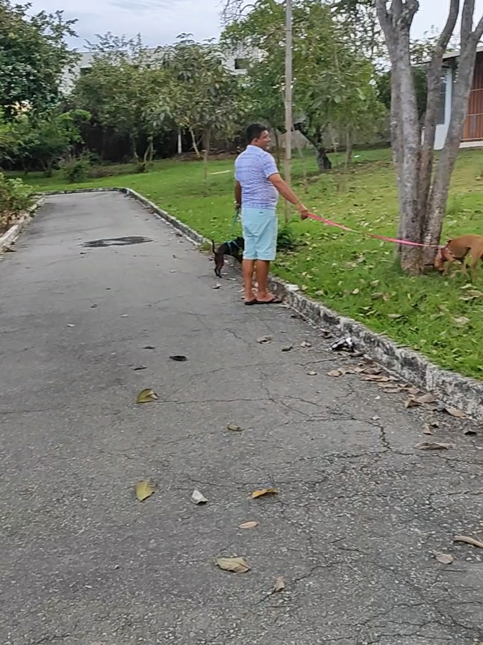 @Belinha e tiamara