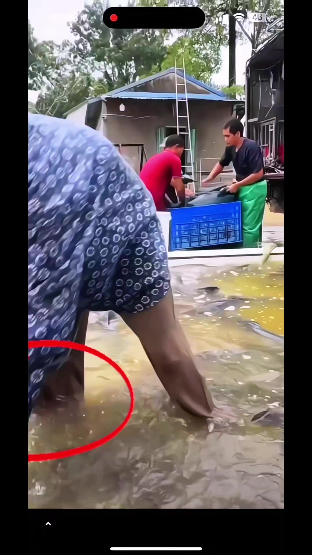 @Dũng Nguyễn Fishing