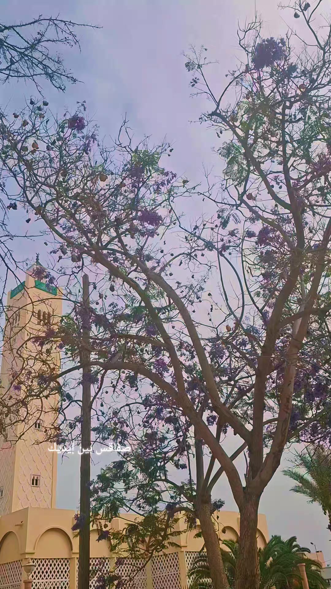 @صفاقس بين ايديك