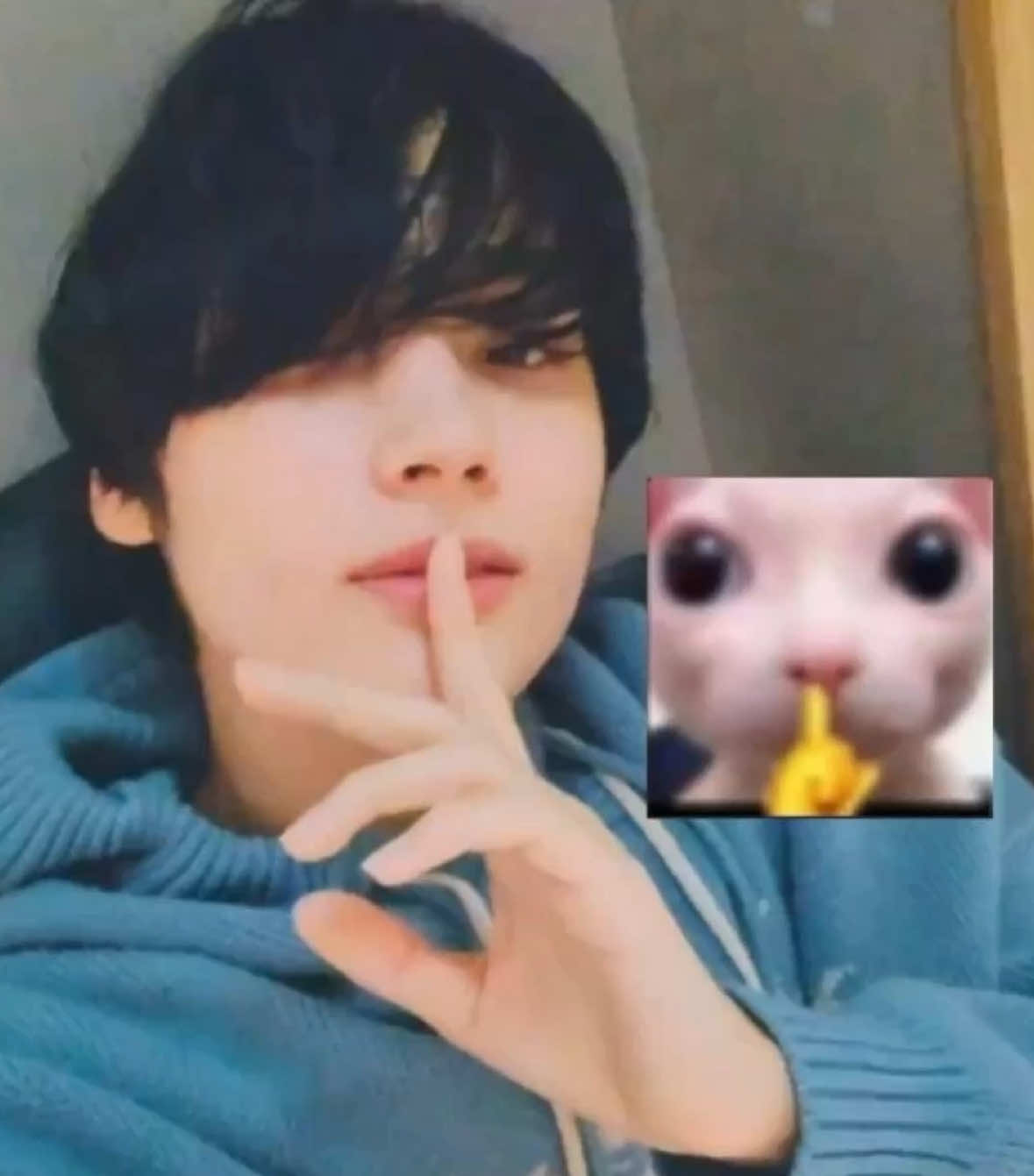 @mir ୨ৎ