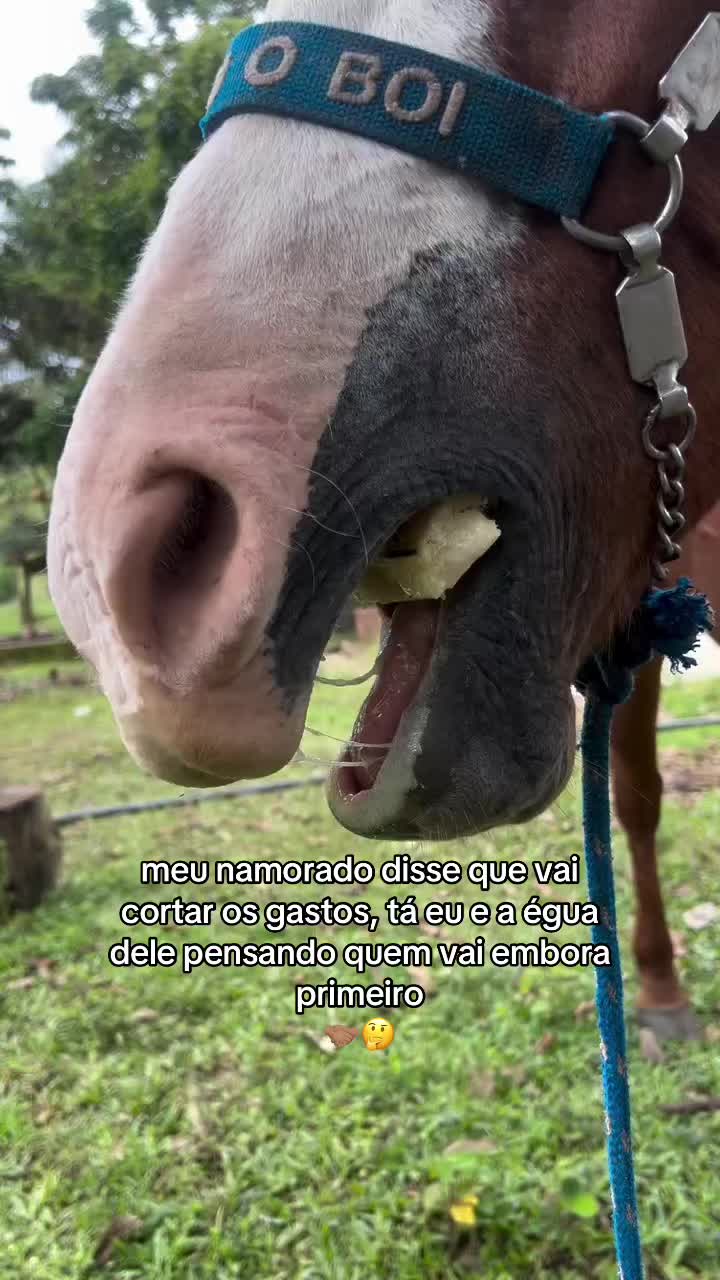 @Eduarda.G