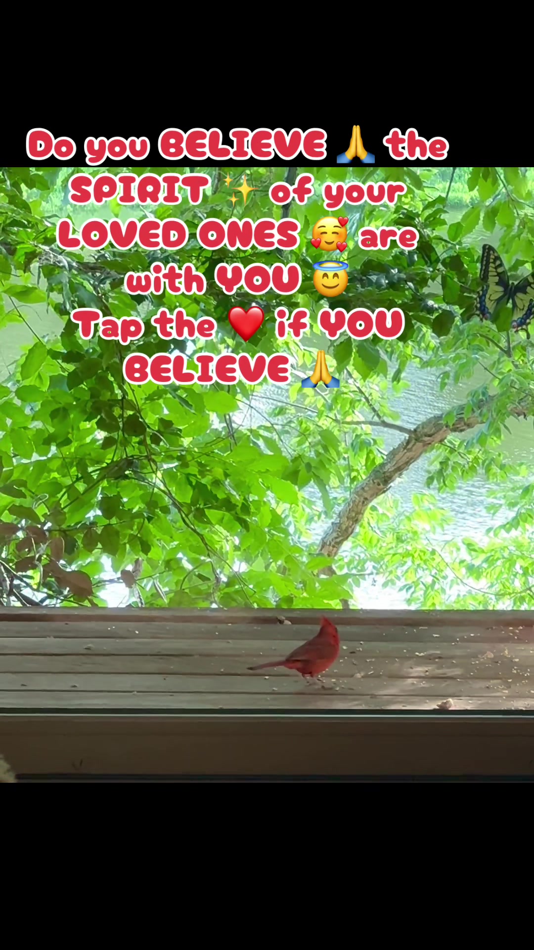 @E🌹