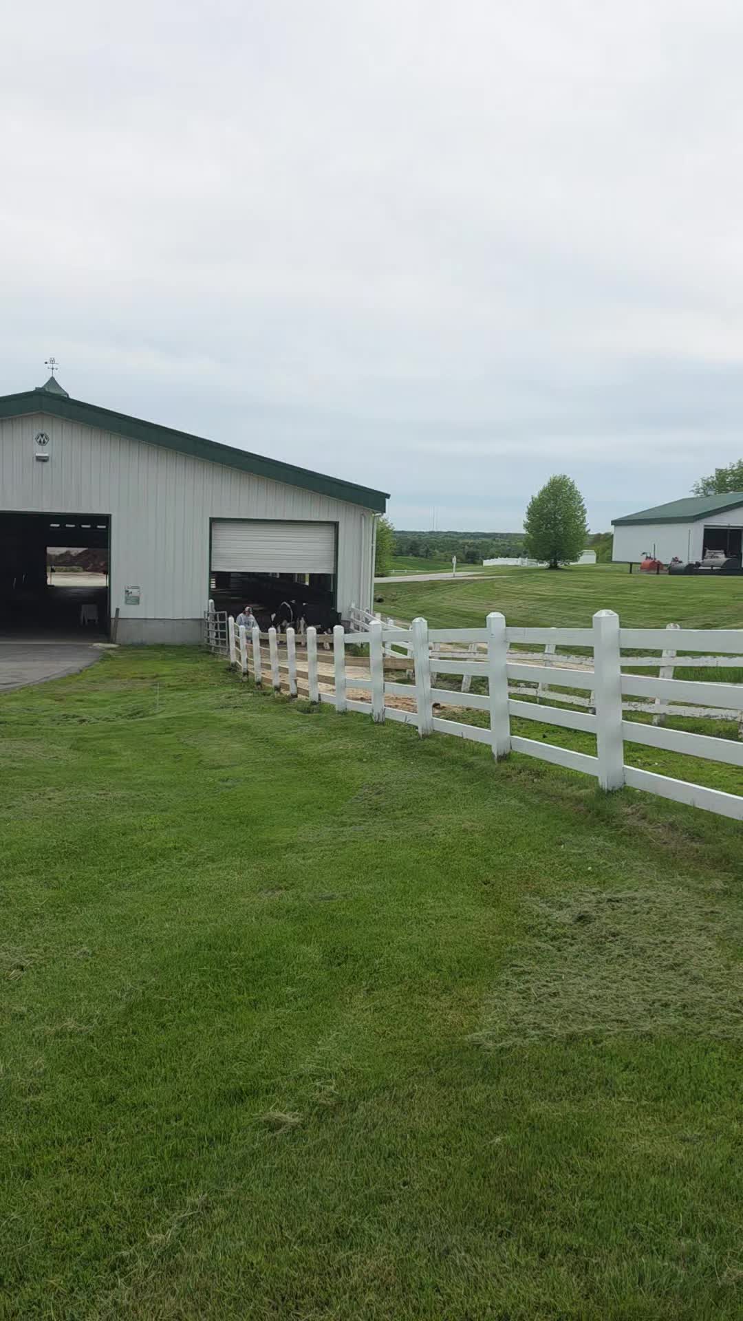 @Grit&Grace:Farmyard.diaries