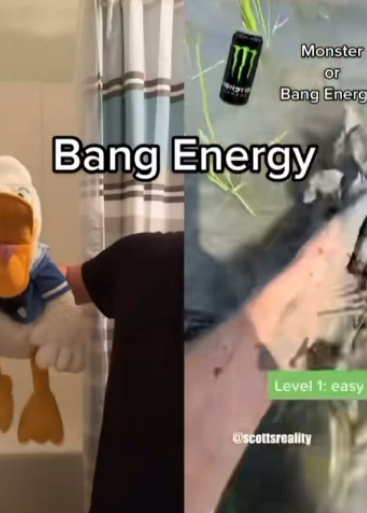 @donaldducc