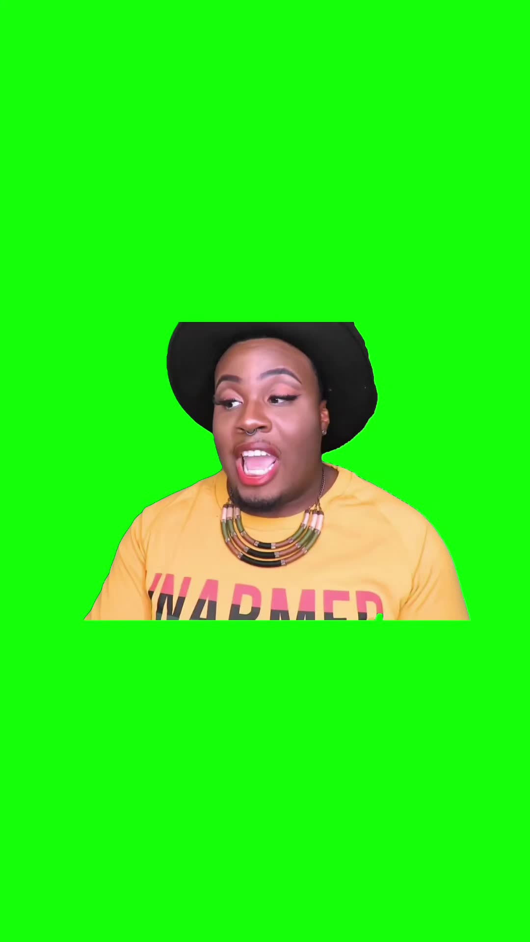 @Chief Green Screens