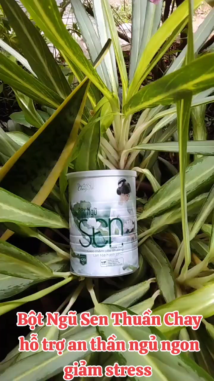@Ba Thuận Shop Uy T&iacute;n