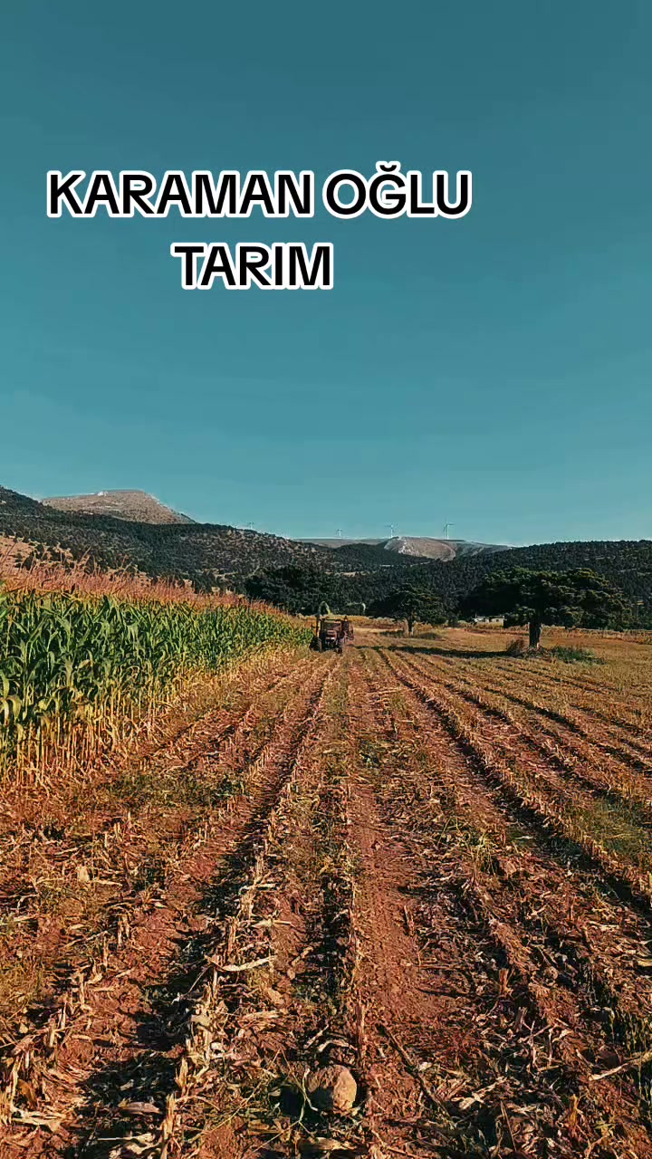 @Z_KARAMAN