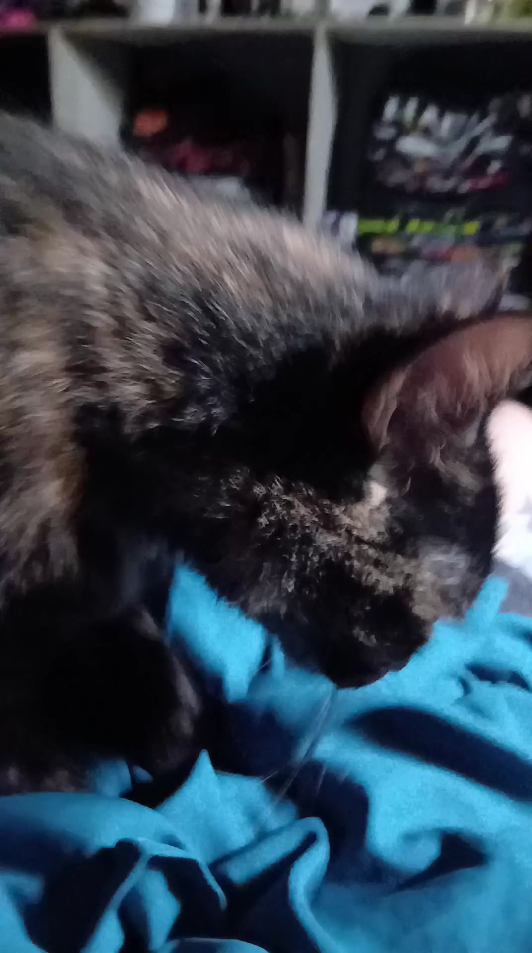 @Bethanya