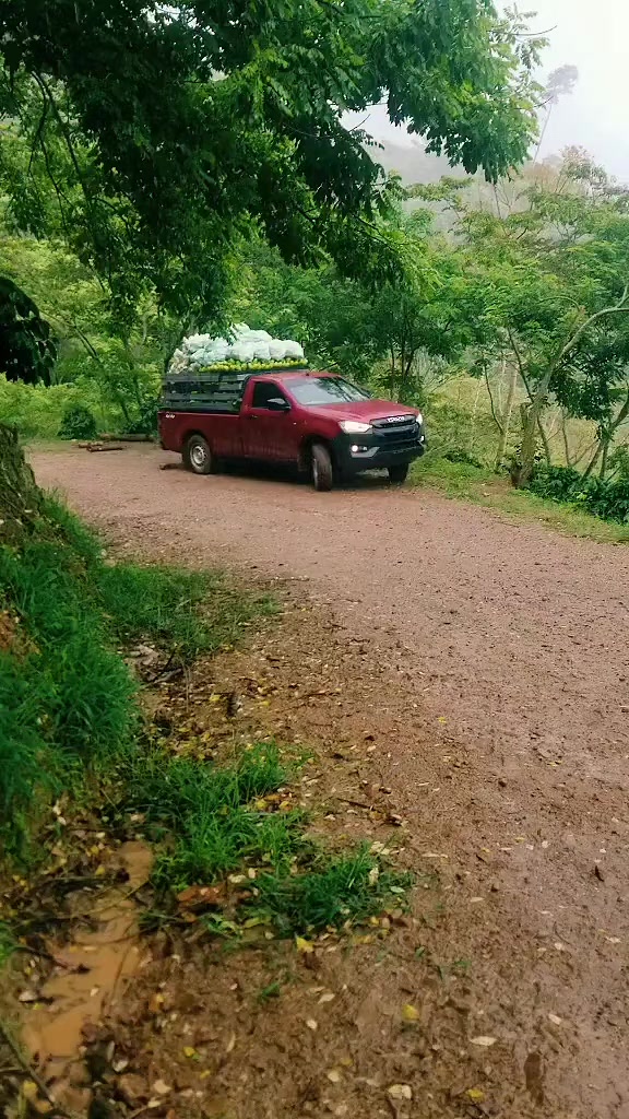 @Club Isuzu Dmax HN