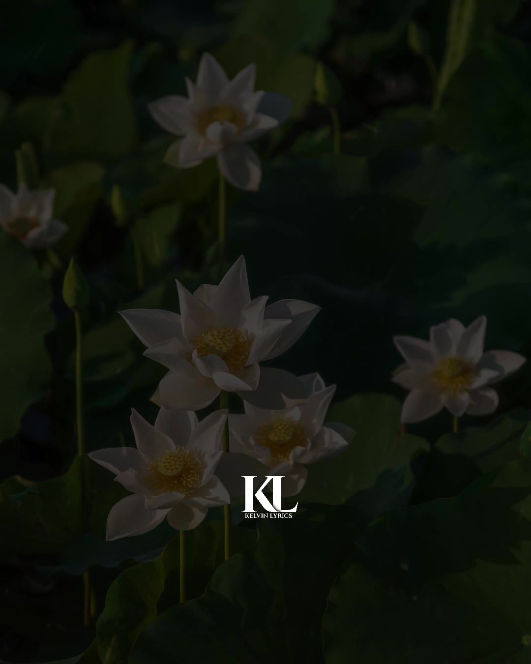 @𝐊𝐈𝐍𝐆 𝐎𝐅 𝐋𝐘𝐑𝐈𝐂𝐒