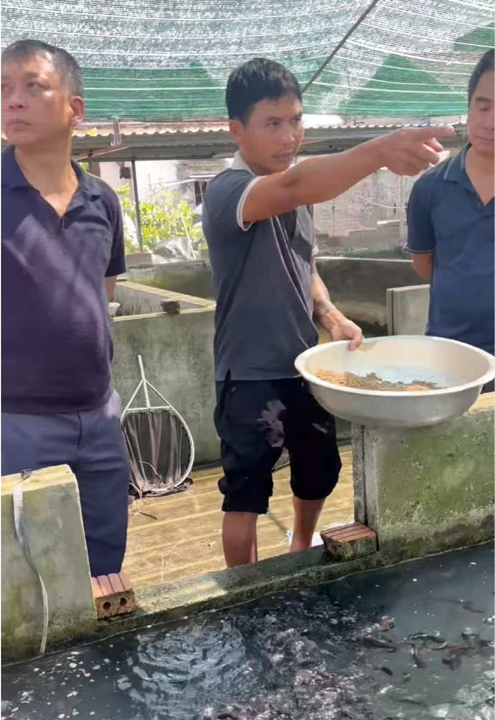 @Trại C&aacute; Giống Quang L&acirc;m