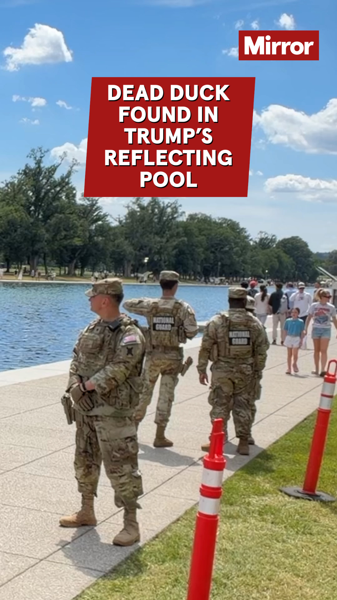 @Mirror Politics