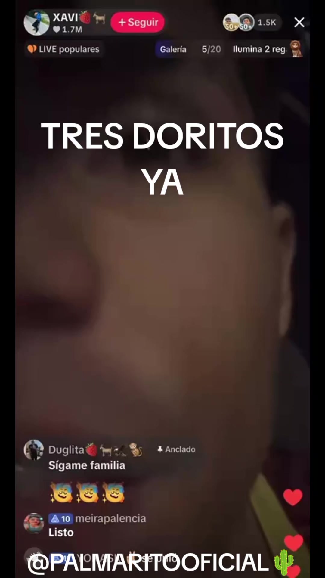@PALMARITOOFICIAL 🌵