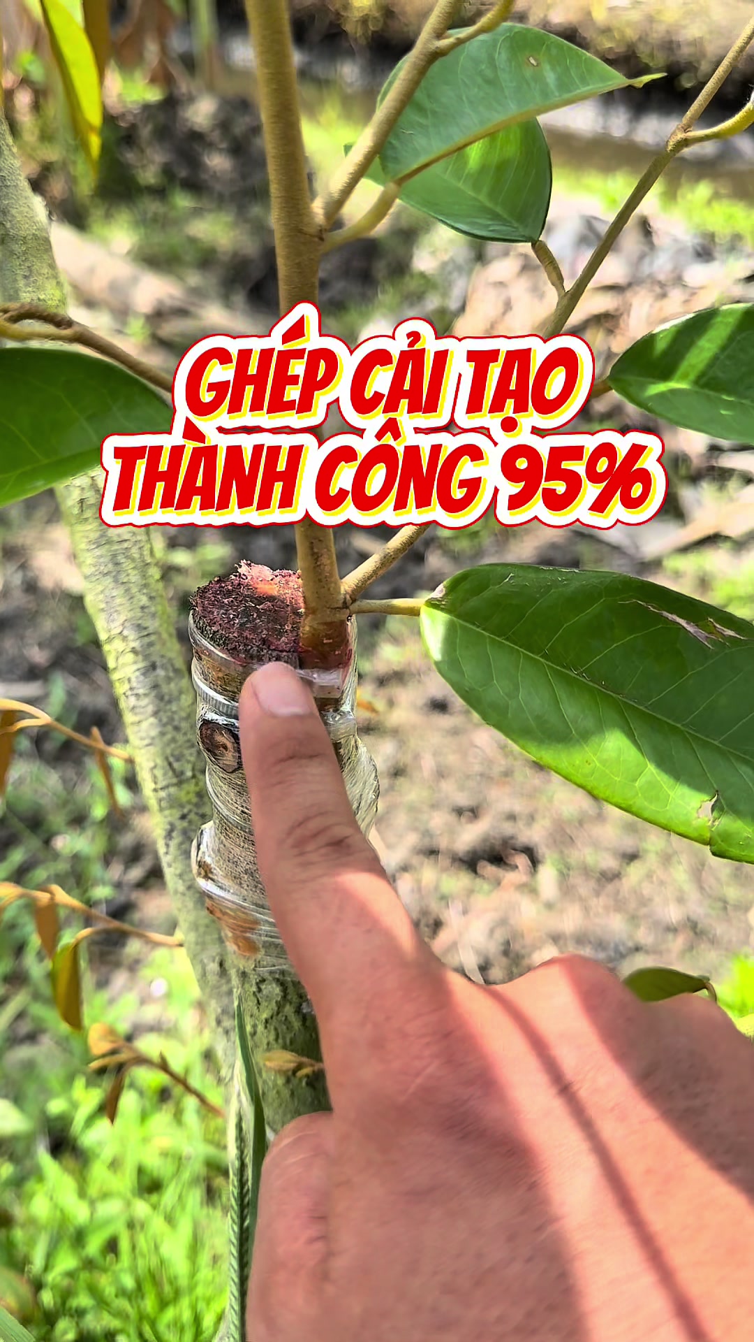 @Hộ Kinh Doanh H&agrave;o - Hưng