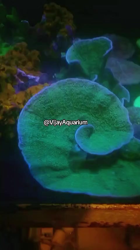 @Vijay Marine