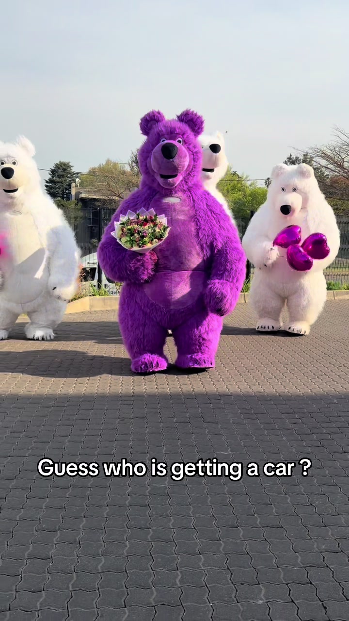 @dancingmascotssa