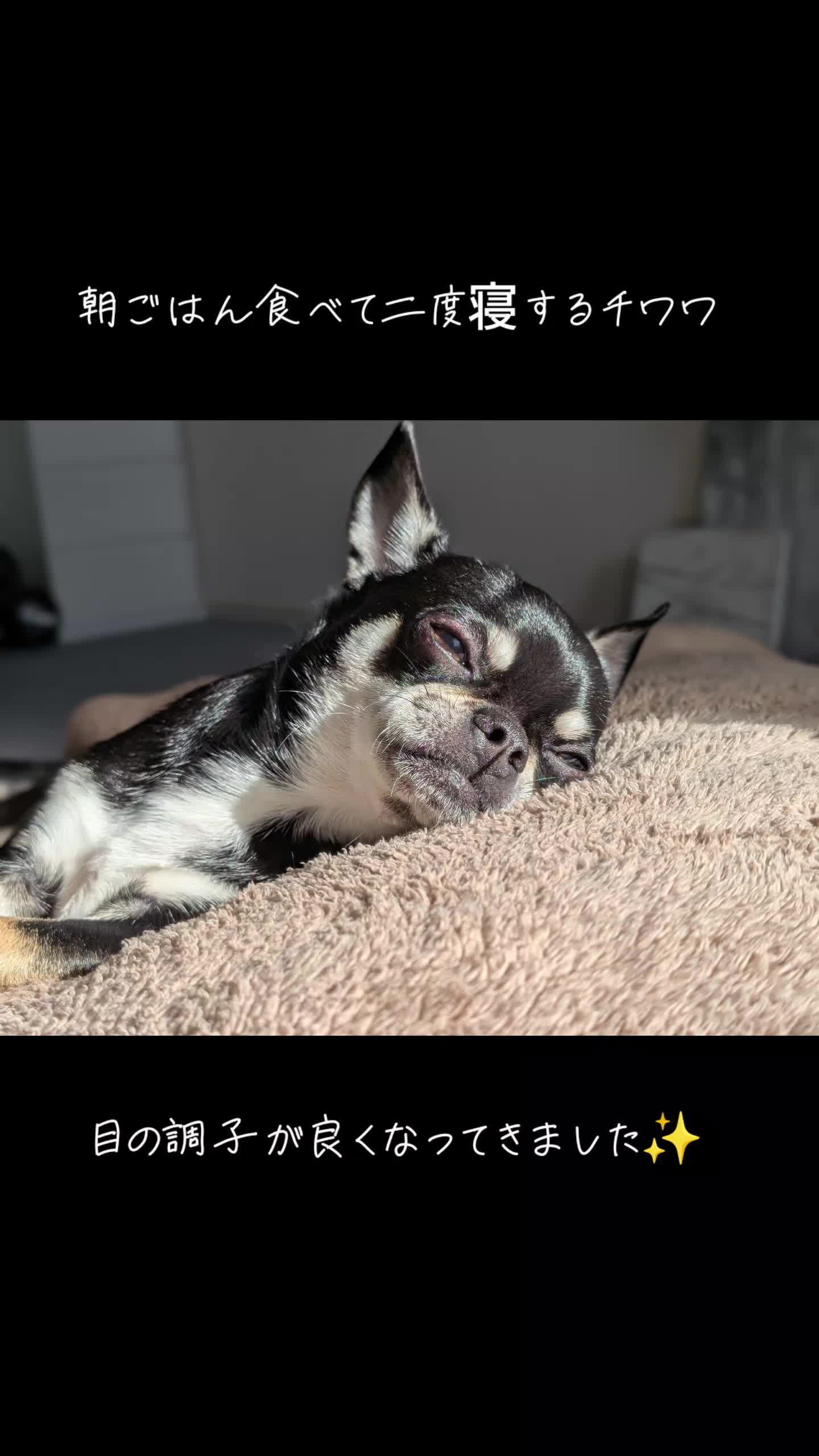 @ZEN