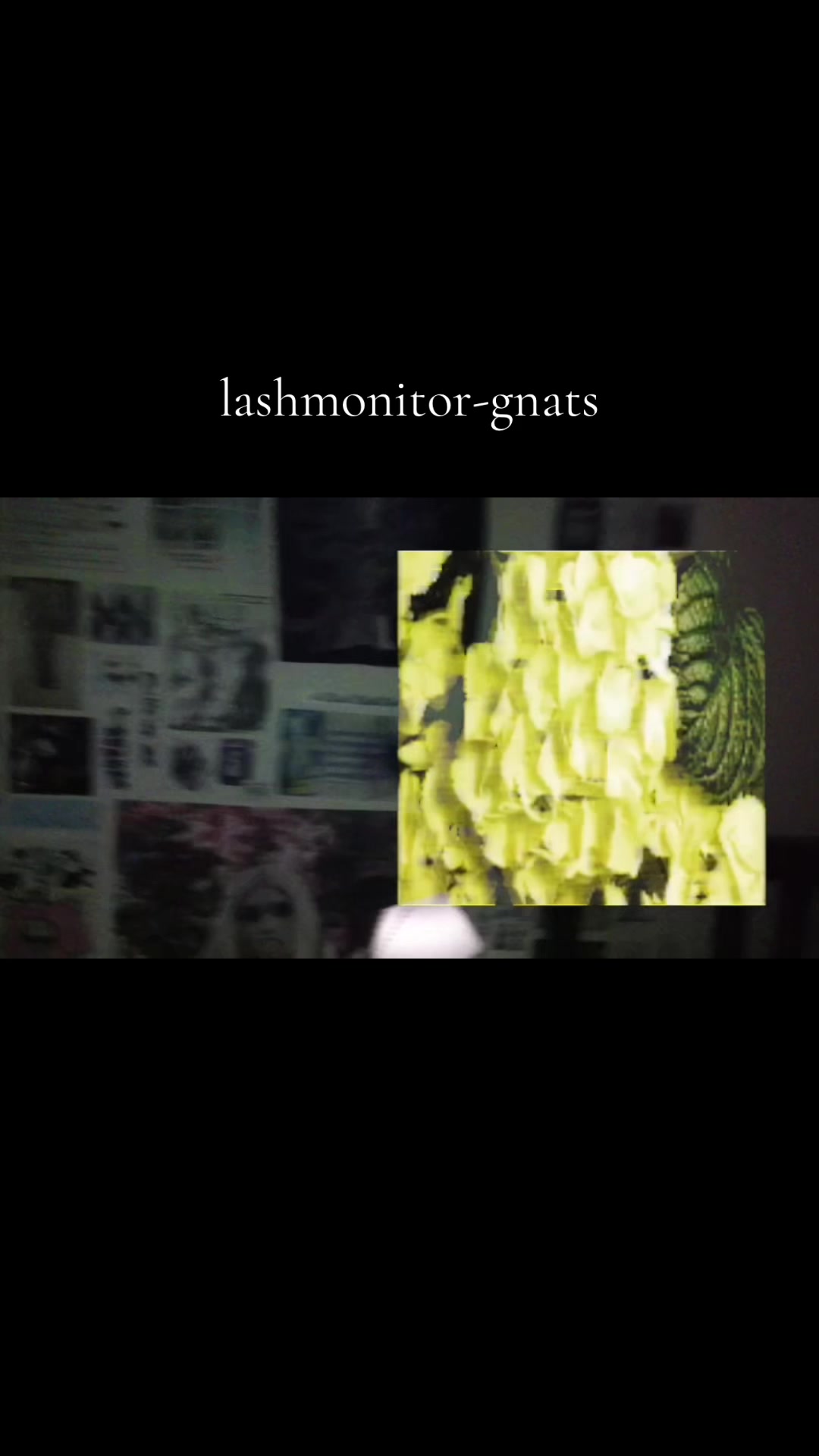 @lashmonitor