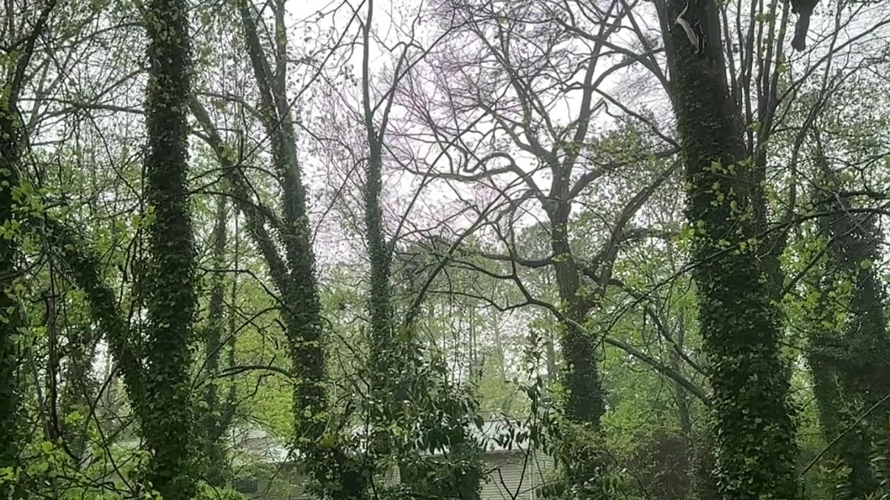@ThisisKenny🤟🏻🌹🌺🫦🎙️🐺🏆