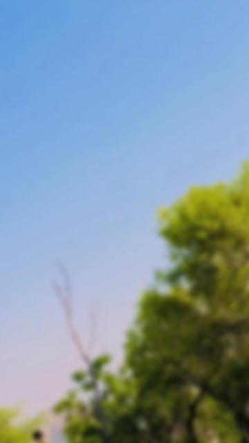 @حُسن پرست 🫀